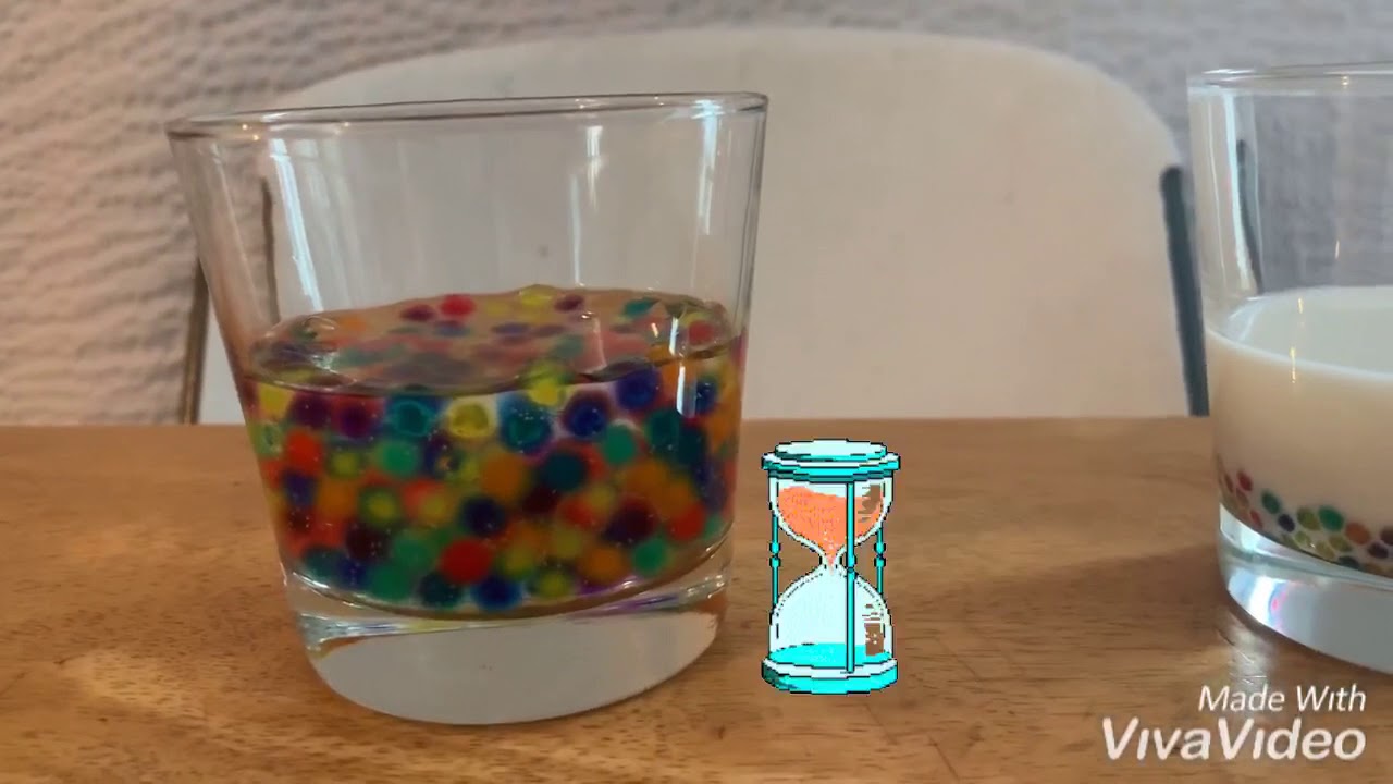 Challenge Will the ORBEEZ absorb the milk? ORBEEZ and milk challenge