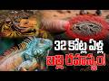 Scientists Found a 320 Million Year Old Mystery Creature | 32 కోట్ల ఏళ్ల తర్వాత బయటపడిన భయంకర రహస్యం