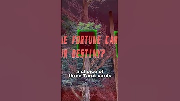 The rarest video game? Akuma: Mortis immortal  #arcade  #arcadegames