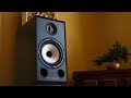 Полочна акустична система Triangle Borea BR03 Light oak (пара)