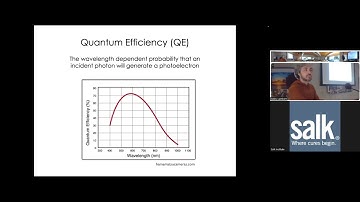Detectors & Digital Imaging