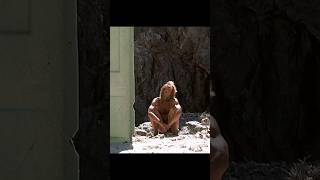 🏝️ When a Toilet Door Became His Sail… | Cast Away’s Greatest Escape 🌊🪢