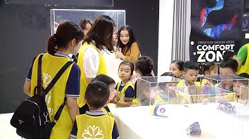 Triển lãm "Loài Plastic": Khi rác thải nhựa đe dọa cuộc sống con người