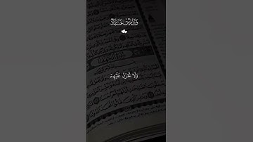 #سورة_النحل #فارس_عباد #لايك #اكسبلور #قرآن #راحة_نفسية