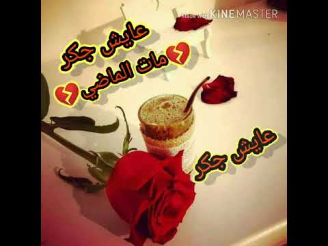 ربيع البصري قديم يا حيف يا مدللا بل عفن رضيانه