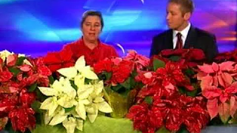 Noon Interview Arlene Reid from Glenhaven Greenhou...