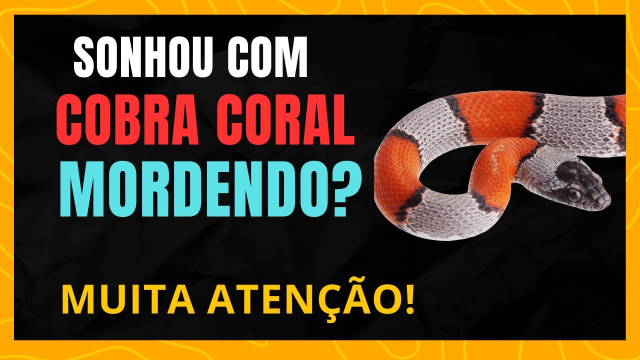 SONHAR COM COBRA CORAL MORDENDO - SAIBA JÁ O SIGNIFICADO - YouTube