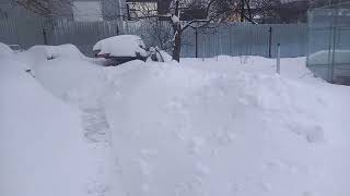 Теплица Мечты моей 7 митлайдер зима (монолитный поликарбонат, пленка). оцинкованный профиль.
