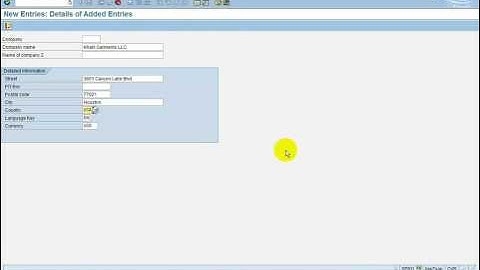 Elements of SAP GUI Window - PART 2 - SAP Menu Bar, Application Bar