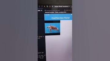 overflow widget flutter #shorts #youtubeshorts #shortvideo #flutter #coding