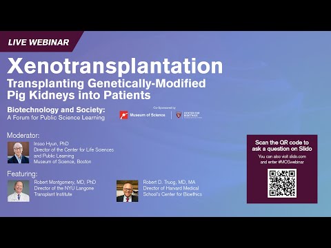Videó: Megtörtént a xenotranszplantáció?