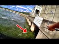 Dam Fishing From The Bank! (SIMPLE TIP THAT CATCHES FISH!!!)