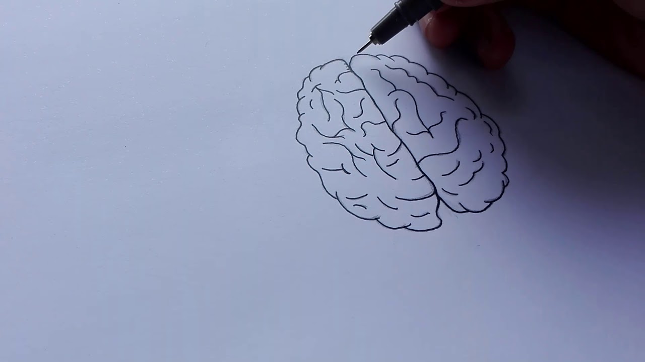 Dibujo tu CEREBRO!? | Inktober 2019: Day 2 - YouTube
