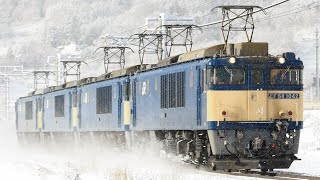2022/1/1　単8087　仕業検査に伴う篠ノ井派出送込　EF64 1042[愛]+EF64 1024[愛]+EF64 1034[愛]+EF64 1047[愛]