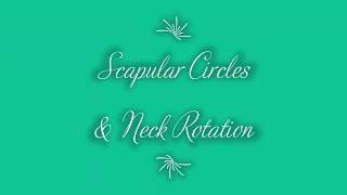 Scapula circles & Neck Rotation