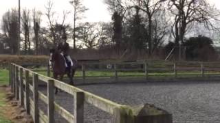 Lou & Dunstan Reaseheath Combined Training #1: dressage