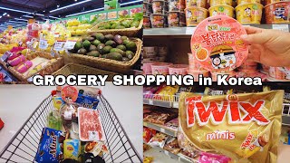 Grocery Shopping in Korea | Mothers Day | Supermarket Food with Prices | Shopping in Korea