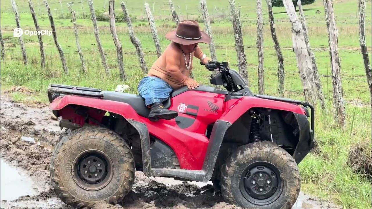 #8Milagre Verde: A Natureza Renasce!