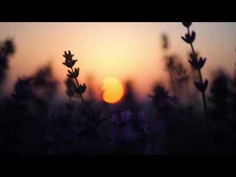 من بادي الوقت عود مع الإيقاع