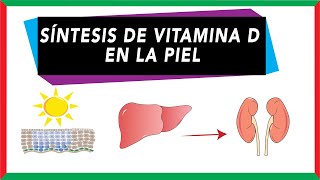 Vitamin D metabolism: Synthesis in the skin [BIOCHEMISTRY].