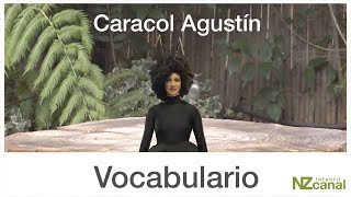 Vocabulario - Caracol Agustín /  Lengua de Señas Chilena
