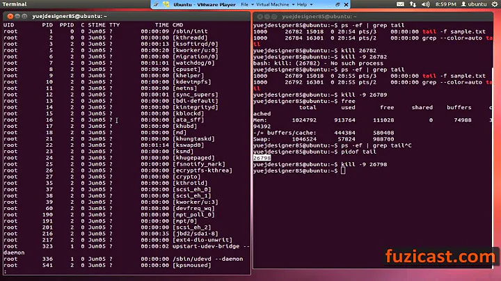 UNIX-1.8 ps, netstat, kill, pidof, fuser, awk commands