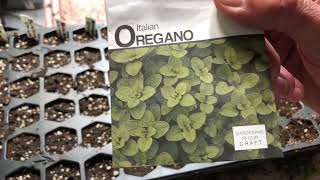 Planting a highly invasive species…
