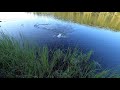 ЛУЧШАЯ РЫБАЛКА СЕЗОНА  / THE BEST FISHING OF THE SEASON