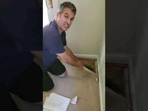 carpet-measure-in-san-carlos---dealing-with-asbestos-tiles