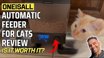 Oneisall Automatic Cat Feeder Review | Dual Cat Feeder Test, Setup, and Honest Pet Owner Opinion