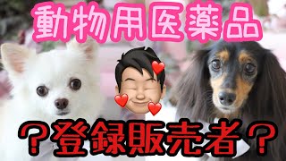 【登録販売者】って動物用医薬品も扱えるの？！ペット好きの方は必見です!!