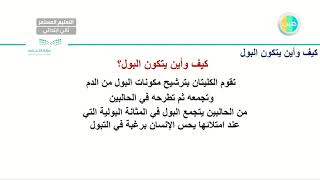 الدري الثامن عشر :  كيف وأين يتكون البول علوم   التعليم المستمر  الصف الثاني الابتدائي