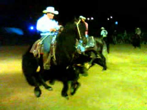 CABALLOS BAILADORES EN TAMAZULA DURANGO PARTE 2 camera iphone 8 plus apk