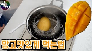 망고 맛있게 먹는방법! 삶고, 굽고ㅋㅋ 꿀잼 [ 꾹TV ]