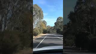 Driving towards Mt Buffalo, Victoria for the first time!