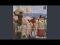 Miniature de la vidéo de la chanson Concerto Nach Italiänischen Gusto, Bwv 971: Ii. Andante