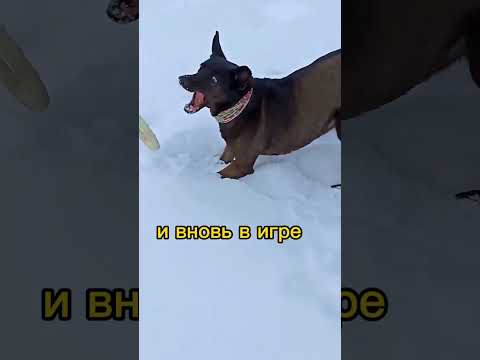 ผลสลากกินแบ่งรัฐบาล วันที่ 1 พย. 2567