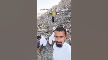 استمع إلى القرآن الكريم بصوت الجميل تلاوة الخاشعة🌿📚🌿