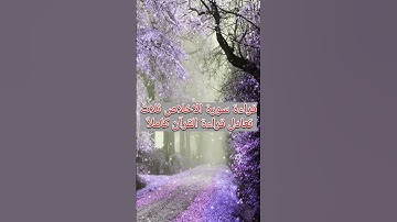 فضل #سورة الإخلاص #قرآن #قران_كريم #quran #kuran