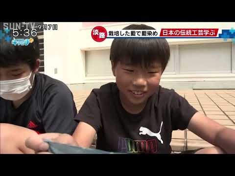 小学生が自分たちで栽培した藍で藍染め 日本の伝統工芸学ぶ