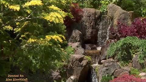 سورة آل عمران ما تيسر منها الشيخ / محمد رفعت رحمه الله تعالى