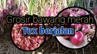 harga bawang merah(story brambang)