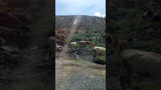 #doğa Pütürge malatya