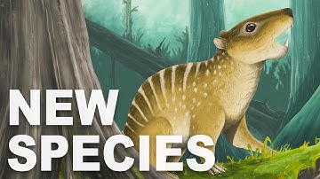 Nieuw scheermesgetande zoogdier ontdekt uit het tijdperk van de dinosauriërs