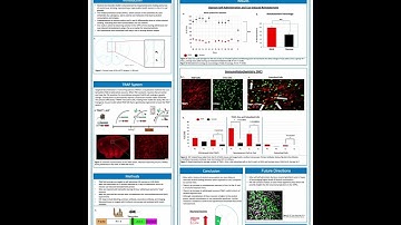 Neural Activity in Mice During Alcohol Withdrawal and Cue-Induced Reinstatement