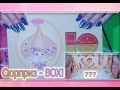 Юбилейный Подарочный BOX от Born Pretty / Бренду 10 лет / Сюрприз BOX  / Что же внутри!?