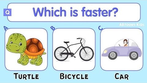 Brain Teaser Quiz for Kids: Fun Logical Puzzles & Riddles