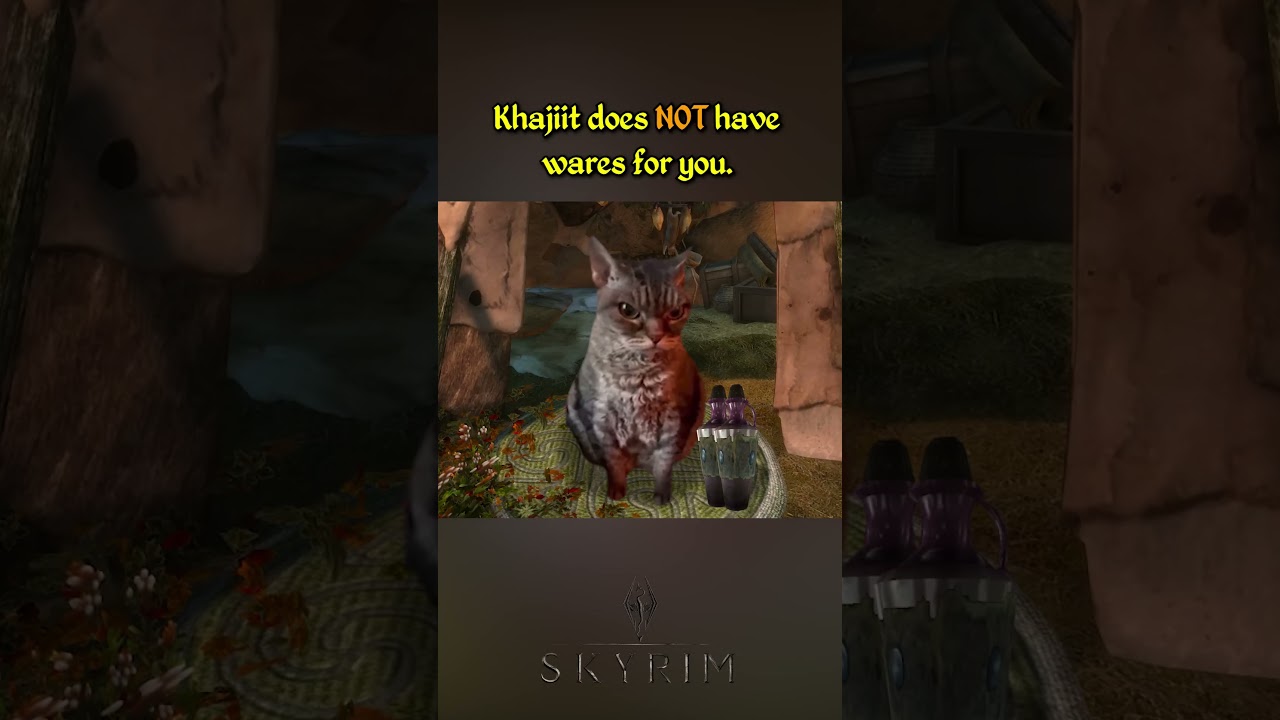 Skyrim - Relatable and Funny pt214