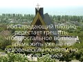 чтобы остальное во плоти время жить уже не по человеческим похотям, но по воле Божией. (1Петр.4:1,2)