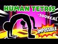 HUMAN TETRIS x 1 Player ⚡ Immersive Interactive Warm Up | Easy Daily Routine | Full Body